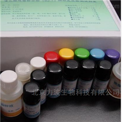 LB-3878人神经调节蛋白1（NRG-1）检测试剂盒